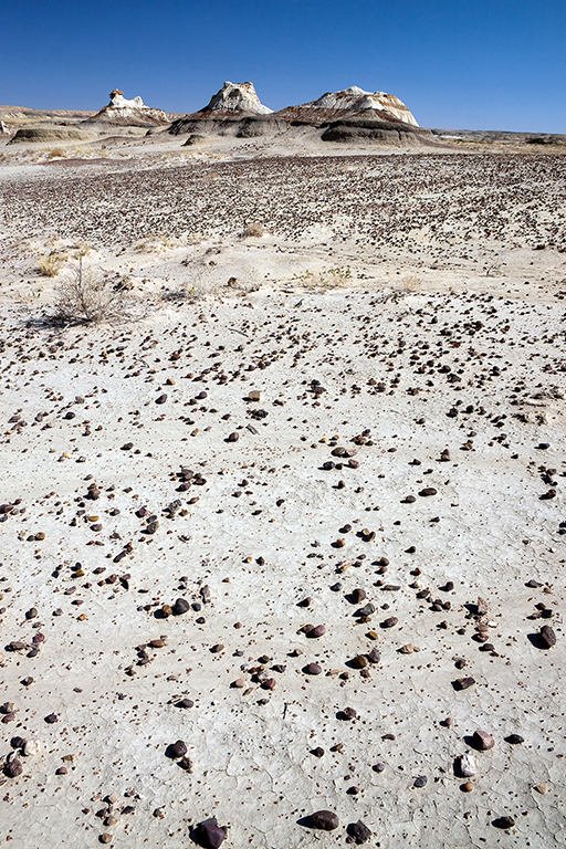 18_Bisti Wilderness__01.jpg